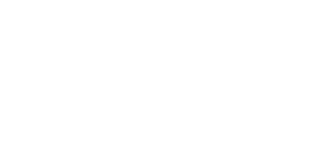 avansys-logo-01